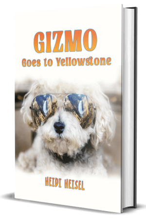 Gizmo Goes to Yellowstone