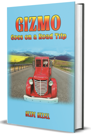 Gizmo Goes to a Road Trip