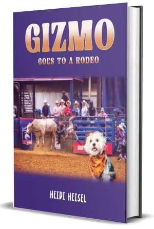 Gizmo Goes to a Rodeo